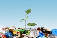 Zirkulär, Werte schaffend und kreativ – ein Wirtschaftsmodell für morgen